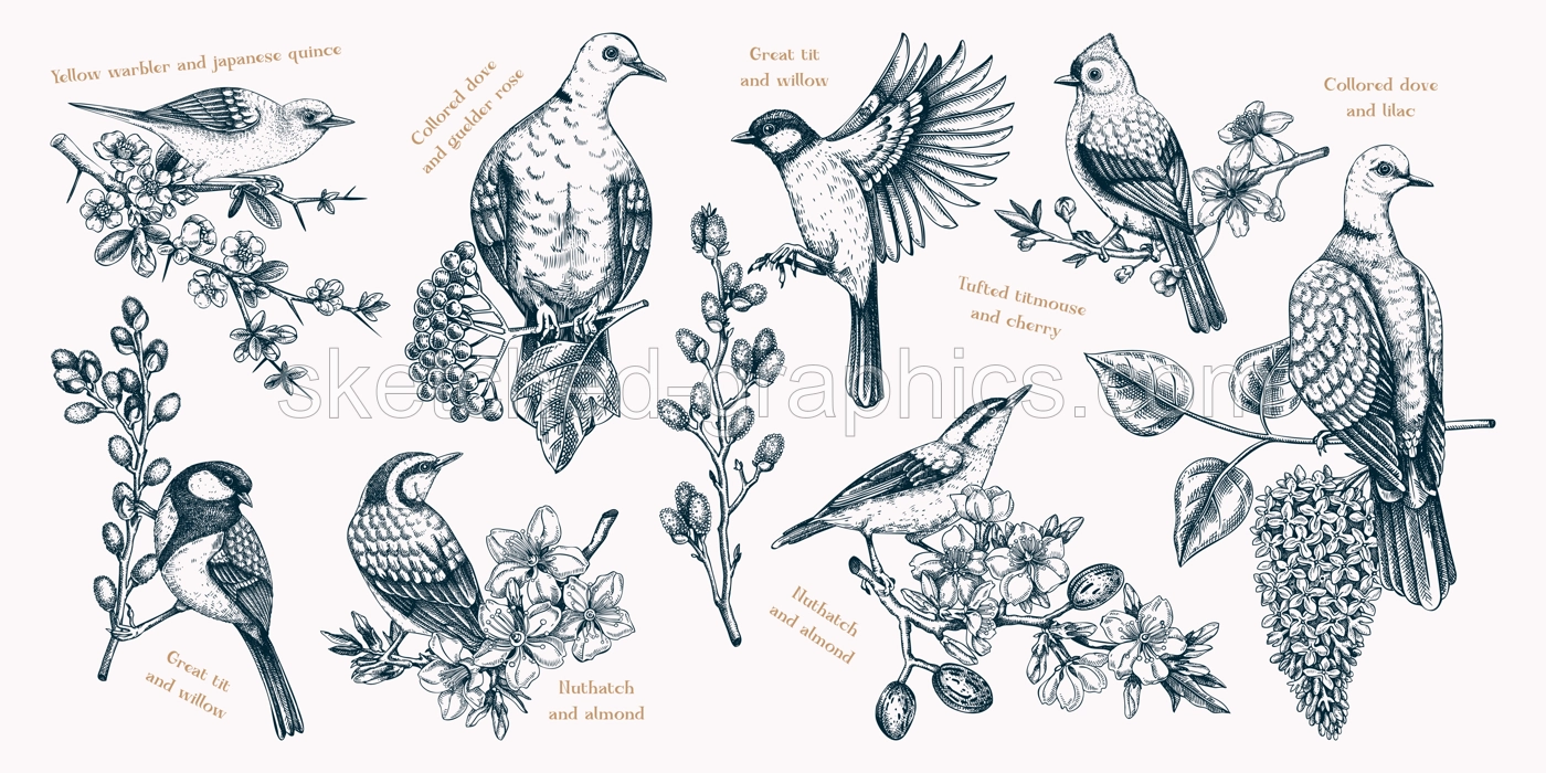 Spring garden background. Vintage seamless patter with birds, flowers, leaves and blooming tree branches. Hand drawn almond, willow, rowan, willow, cherry blossom floral sketches for prints or textile Illustration